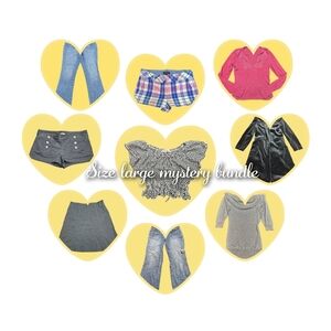 Size Large Mystery Clothing Bundle
